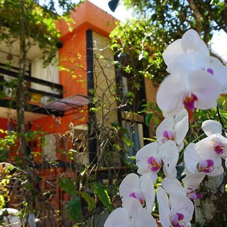 Pousada Casa Di Gaya Guesthouse Cabo Frio Eksteriør bilde